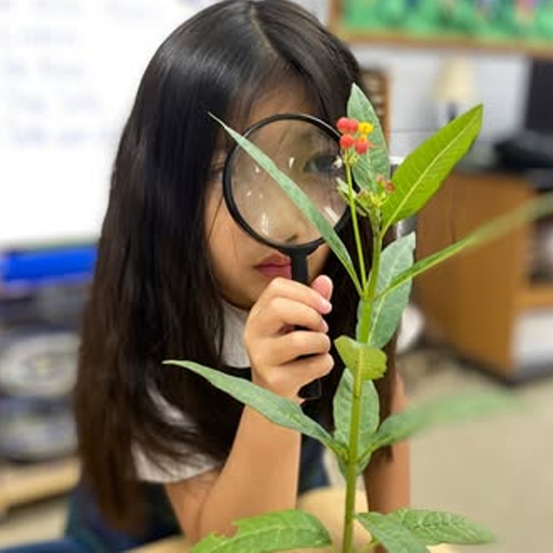 TES-Elementary-Science