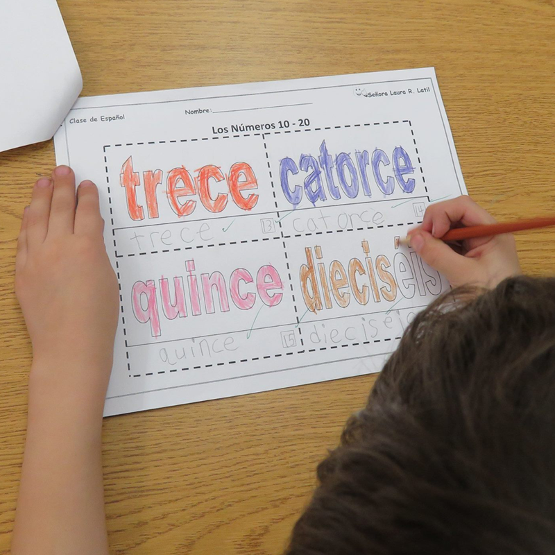 TES-Enrichment-Spanish